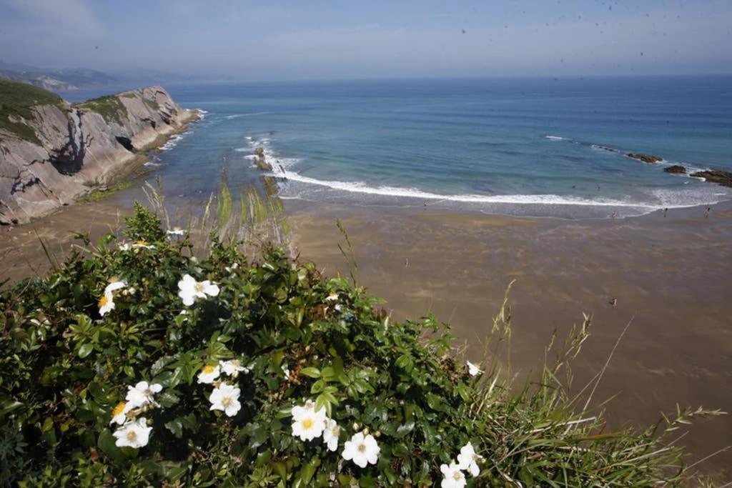 Appartement 2 Habit, Sala, Terraza, Jardin, Parking Gratis à Zumaia Extérieur photo